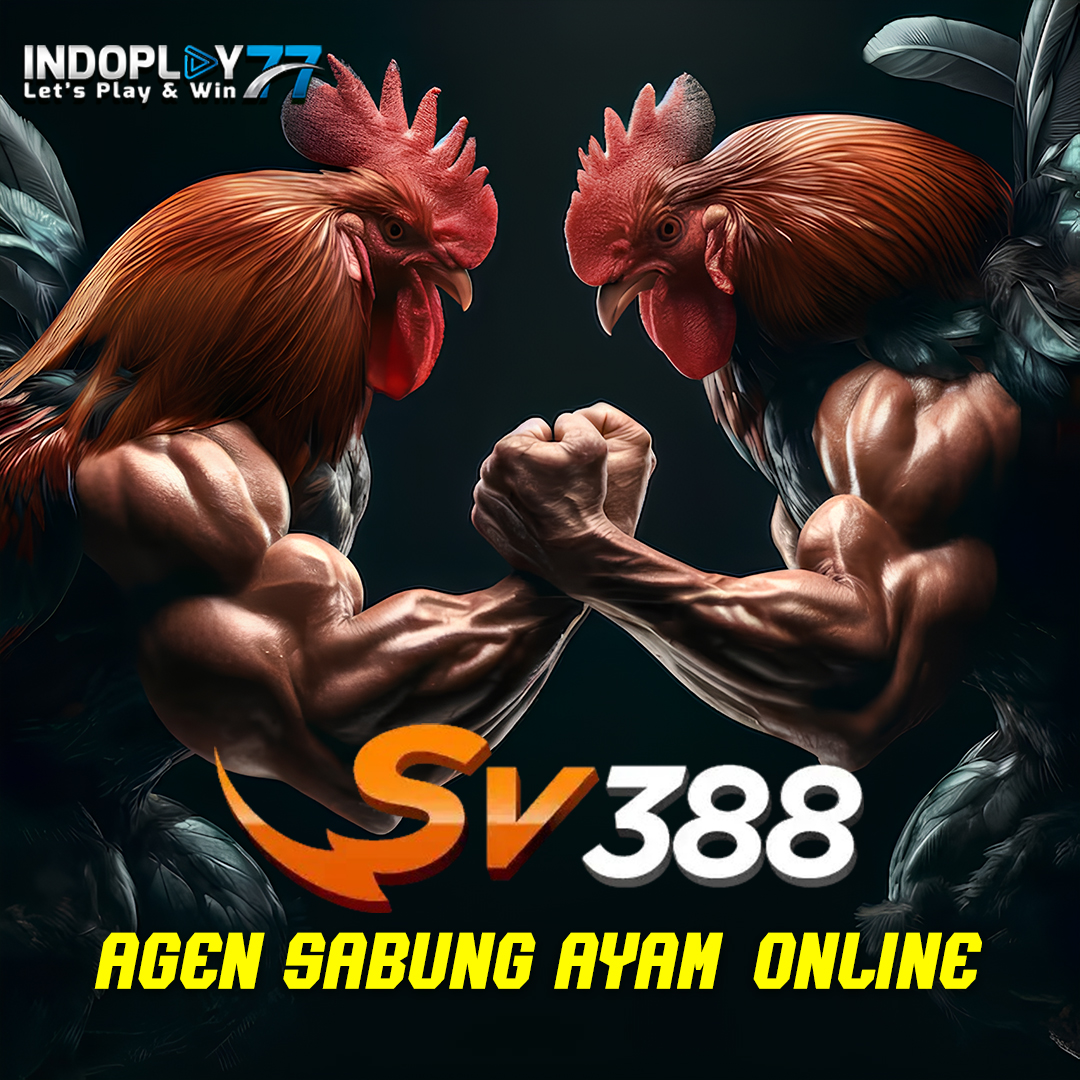 Daftar Sabung Ayam Online SV388 Resmi: Main Live 24 Jam Lewat HP & E-Wallet